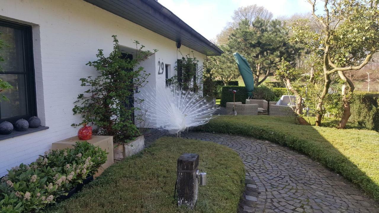 Ferienwohnung Kolb Issum Dış mekan fotoğraf